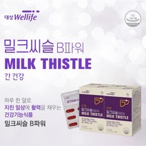 간건강 과 피로 활력 에너지 개선 관리 에 좋은 실리마린 비타민B군 복합 영양제 번아웃 기력 기운 체력 입맛 맥아리 없을때 힘들때 장년 중년 남성 여성, 2BOX(2개월분), 2개