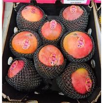 프리미엄 애플망고 당도선별 특대 2kg/4kg, 애플망고 특대 2kg(4-5과)