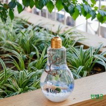수경재배 반려식물 마리모 어항 LED전구 선물 세트, LED전구오색사