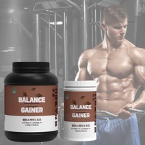 단백질 게이너 보충제 분리대두 벌크업 체중증가 증량 살찌는 살찌우는 게이너 2kg 초코맛, 1개