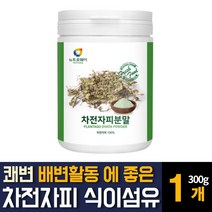 100% 인도산 차전자피 분말가루 자전자비 식이섬유 많은음식 쾌변 숙변제거 방법 보조제 효능추천, 300g 1개