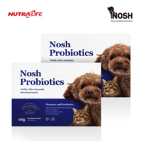 [노쉬유산균] 노쉬 240억 프로바이오틱스 강아지 고양이 유산균, 3박스