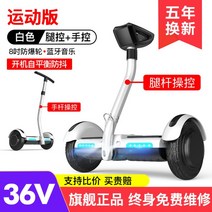 Aerlang 전동휠 보드 나인봇, 36V, 36v 스포츠 버전 화이트 듀얼 컨트롤블루투스 +