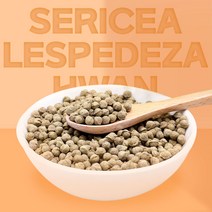 열린약초 국내산 야관문환 비수리 야관문, 300g, 1개, 1개