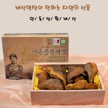 상황버섯 (상품)1kg 뽕나무 건조 말린 목질진 흙버섯 원물 차 선물세트 국산 무농약 농장 안동 부모님 자연 보양식품 베타글루칸 단백질 식이섬유 버섯명장이 20년동안오직버섯만을연구, 1박스, 1kg