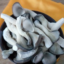 푸드다핏 물로키운 느타리버섯 1kg, 가정용