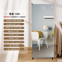 의류관리기 옷드라이 스팀 다림질 완전 자동 의류 관리 기계 대용량 가정용 건조기 소독 주름 제거, 6. 500 미러 스팀 모델