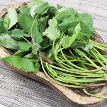 채선 독특한 향과 맛이 일품인 취나물, 1포, 500g