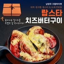 핫한 치즈랍스터 인기 순위 TOP100 제품 추천