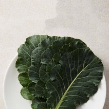 유기농 케일 1kg 주스용 즙용 케일 녹즙재료, 유기농 즙용 케일 3kg