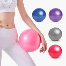엑서사이즈 미니 요가 짐볼 25CM 헬스 용품 필라테스 공 탱탱볼 0-0931ea, 퍼플