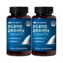 웰핏 콘드로이친 글루코사민정, 2개