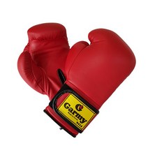 Garmy [Garmy] 가미 연습용 복싱글러브 14온스 16온스, 단일옵션