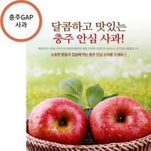 충주사과 GAP 저탄소인증 껍질째먹는사과 햇사과 아리수사과5kg 14/16개 선물세트 사과다이어트 성인병예방, 상세페이지 참조, 단품