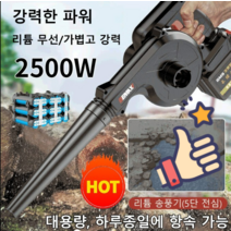 다기능 고출력 리튬 송풍기 충전식 소형 차량용 먼지 제거기 공업용 리튬이온 에어 블로우 리튬 소형 차량용 먼지 제거기, 헤어 드라이어*2, 유럽 규칙, 1개