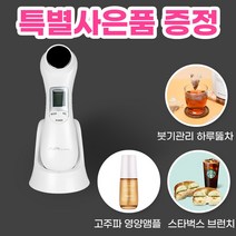 에어굿즈 가정용 고주파 갈바닉 LED테라피 저주파 마사지기, 고주파 갈바닉 마사지기 V1