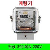 태원 전력량계 계량기 전기계량기 전산전력계 2선식(리퍼), 1개