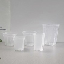 투명 플라스틱 화분 모음 삽목 난분 분갈이 모종 플분 호접란 투명분 슬릿 롱화분 서클링예방