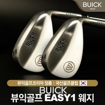 대한민국 대표 돌프브랜드 뷰익 이지원 EASY 1 수제 단조 웨지, 다이나믹골드 트루템퍼 스틸샤프트/48