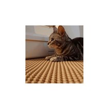 고양이 화장실 모래 사막화방지 발판 엠보싱매트 5color (S M L), 블랙