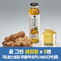 안동마뜰농장 수제청 생강차 더진한 착즙 생강청 500ml, 1개