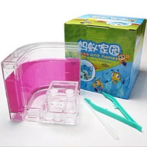 개미집 키우기 세트 2021 아크릴 개미 농장 개미 집 성 다채로운 곤충 테라리움 개미 케이지 곤충 상자 생태 아이 교육 모델 장난감, 11x11x11cm, CN, 빨간색