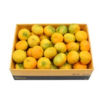 삼다몰 제주 비가림 하우스 감귤 3kg 5kg 10kg, 소과 3kg 2S~S(37~56과 내외), 1박스