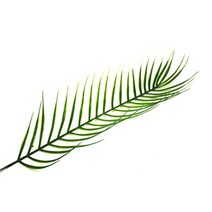 홈 카페 야자수 잎 인테리어 조화 홈카페인테리어, 상세페이지 참조