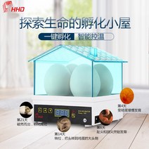 조류 병아리부화기 달걀부화기 자동부화기 4란, 4구 안심 인큐베이터