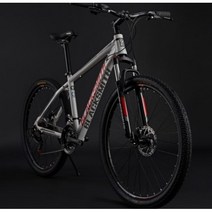블랙스미스 페트론 M1 29인치 21단 산악인증 입문용 MTB 산악 자전거, 19인치(권장신장:175-190cm), 페트론 M1 29인치 테즈먼 블루