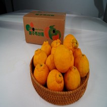 탐라인 제주직송 만감류 한라봉 가정용 중소과 3kg 1box