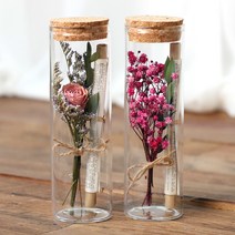 로맨틱노벰버 드라이플라워 유리병 꽃편지, 미니장미 자나 + 안개꽃 레드핑크