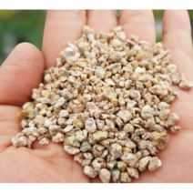 [우야플랜트] 세척 마사토, 5개