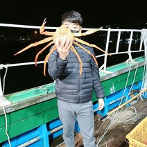 포항 구룡포 자숙 연지 홍게, 국물용자숙홍게 10마리
