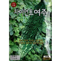 (씨앗) 자이언트여주 - 일본 수입종 큰 여주 씨앗 종자 - 소포장 10립, 1개