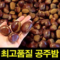 공주밤 밤삶기 옥광밤 햇공주밤 1KG 칼집X 밤보관법