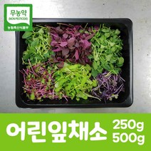 브랜드없음 [낭만푸드]친환경 어린잎채소 500g, 단품없음