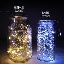 배키샵 led 와이어 전구 무드등, 웜화이트10구