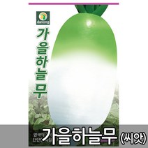 가을하늘무씨앗 1000립 가을파종무 저장성우수 시원한배맛 단단한 육질 무씨, 1개