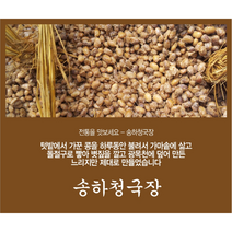 국내산 전남담양 송하청국장 저염청국장 발효음식 몸에좋은청국장 무염청국장 국산청국장, 청국장 2 세트 (200g x 6)