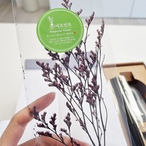 에프센트 미스티 블루 프리저브드 플라워 실내 디퓨저 인테리어 말린꽃 드라이플라워, 미스티퍼플