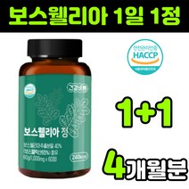 보스웰리아 보수웰리아 보스웰리스 보스엘리아 보수엘리아 boswellia 보스웰릭산 보셀리아 보스웰니아 보스윌리아 보수엘라 프리미엄 인도산 해썹 식약처 인증 AKBA KBA 추출물, 2통(4개월분)