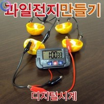 기타 h70 과일전지만들기 디지털시계(1인용)