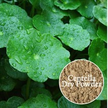 화장품 비누diy재료-천연분말 허브A, 병풀분말-10g