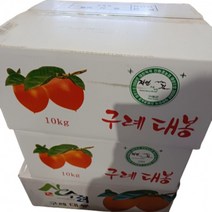 구례 대봉감 홍시 곶감 대봉시 10kg 하동악양대봉감 영암대봉감, 상세페이지 참조, 상세페이지 참조