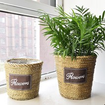 아워리빙 부들풀 베이직 라탄 화분바구니, 사각형 라지
