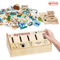 [자석나라] 고고토이즈 원목완구 오감놀이 (나의몸/특수교구/생활도구)