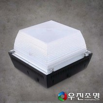 우진조명_ LED 주유소등 캐노피 60w-주광색