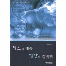 이노플리아 이브의배꼽아담의갈비뼈, One color | One Size@1