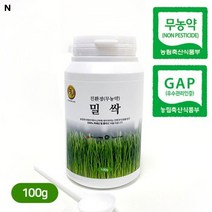 100g 건강식품 밀싹 수산복해 친환경 국내산 무농약 가루 밀싹분말 분말, 국내산 친환경무농약 밀싹분말 100g